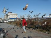 Roman Alexeevsky фотография #41 (источник - https://vk.com/id1388199)