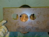 Фотография Гафиатуллина Айрата