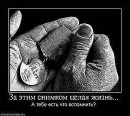 Дмитрий Булаёв фотография #48 (источник - https://vk.com/id52603333)