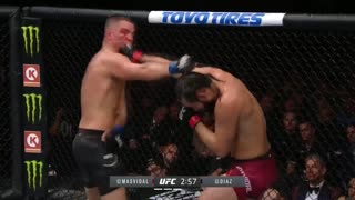 Хайлайт турнира UFC 244: Масвидаль vs Диаз