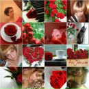 Фотография Демченко Анны