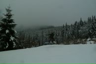 Фотография Горошко Аня