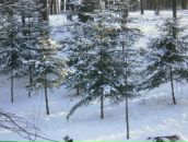 Янгол Кєдах фотография #48 (источник - https://vk.com/id85010421)