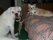 Фотография Малышев Александр