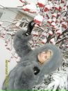 Фотография Гордюшкиной Наташи