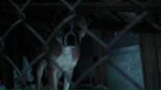 Фотография Макуровой Ирины