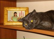 Фотография Шилкиной Светланы