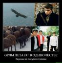 Володя Куліш фотография #33 (источник - https://vk.com/id89765002)