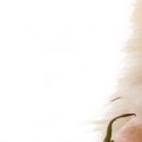 Сірожа Стицюк фотография #44 (источник - https://vk.com/id133380888)