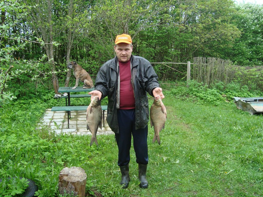 Дмитрий Николаев фотография #25