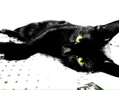 Фотография Стасии Аны