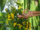 Фотография Фоминых Тани