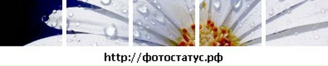 Ольга Гурнік фотография #36 (источник - https://vk.com/id112172004)