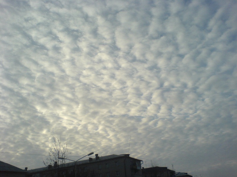 Егор Орлов фотография #16