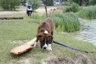 Кирилл Митяев фотография #23 (источник - https://vk.com/id6828811)