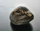 Фотография Половцева Максима