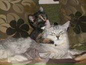 Фотография Родионовой Ксюши