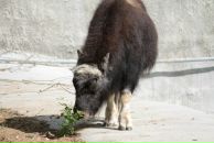 Дарья Попова фотография #49 (источник - https://vk.com/id1113792)