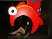 Фотография Dj Palatoff Viktor