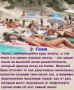 Іванна Лиско фотография #42 (источник - https://vk.com/id41298968)