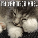 Ігор Порошенко фотография #21 (источник - https://vk.com/id152349536)