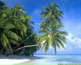 Александр Соболев фотография #3 (источник - https://vk.com/id799403)