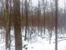 Максім Цілінський фотография #41 (источник - https://vk.com/id66645819)