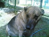 Максим Куварзін фотография #36 (источник - https://vk.com/id6530006)