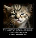 Андрій Король фотография #34 (источник - https://vk.com/id57296286)