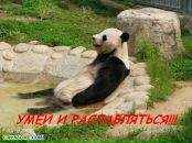 Діма Федорів фотография #42 (источник - https://vk.com/id25178516)