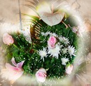 Діана Сов'як фотография #30 (источник - https://vk.com/id152920858)