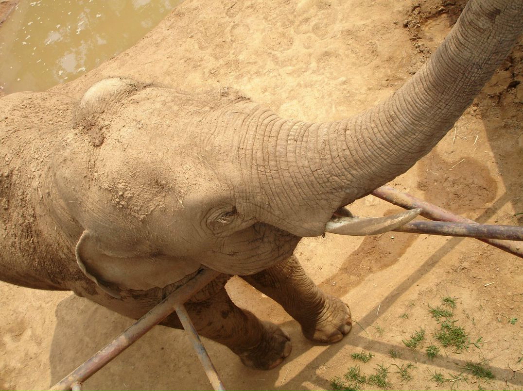 Дмитрий Тимохин фотография #46