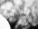Ірка Стець фотография #10 (источник - https://vk.com/id122721775)