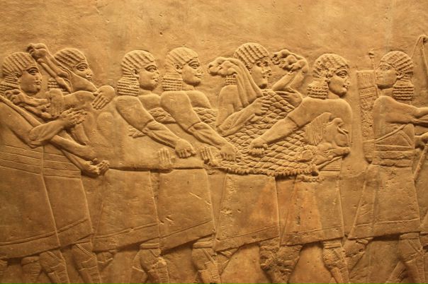 Дмитрий Гудков фото №42