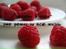 Фотография Цыкаловой Екатерины