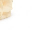 Іра Сакундяк фотография #5 (источник - https://vk.com/id35307343)