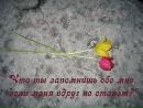 Іруся Гаврилюк фотография #10 (источник - https://vk.com/id74180062)