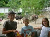 Марійка Прейзнар фотография #49 (источник - https://vk.com/id95178049)