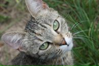 Фотография Кравцовой Лизы