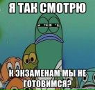 Фотография Эстрих Ольги