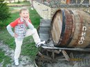 Наталія Мисюра фотография #7 (источник - https://vk.com/id164016348)
