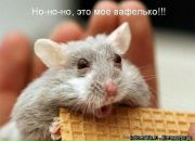 Лена :) фотография #34 (источник - https://vk.com/id8977513)