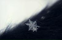 Фотография Степановой Инны