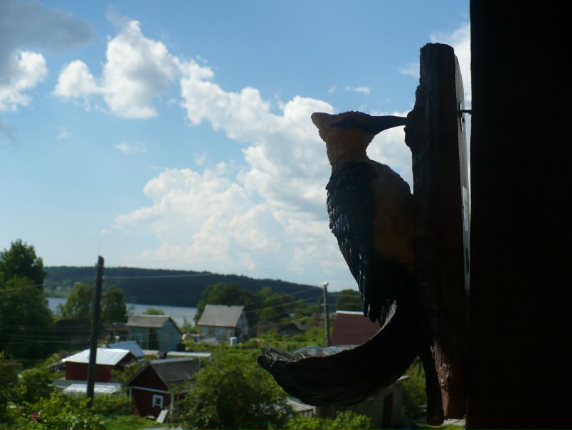 Дмитрий Редькин фото №3