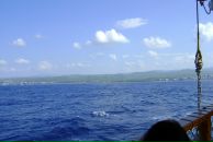 Princessa София фотография #24 (источник - https://vk.com/id852922)