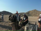 Фотография Тюрнина Алексея