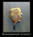 Илья Долин фотография #34 (источник - https://vk.com/id1836600)