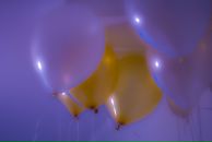 Фотография Журавлевой Екатерины