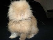 Фотография Лисняк Катерины