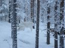 Фотография Соболина Даниила